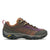 Bracken/Multi
